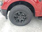 2025 Ford F-150 SuperCrew Cab 4WD Pickup for sale #S2621 - photo 8