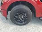 2025 Ford F-150 SuperCrew Cab RWD Pickup for sale #SL2996 - photo 8