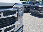 2025 Ford F-450 Crew Cab DRW 4WD Cab Chassis for sale #S2959 - photo 4