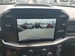 New 2025 Ford F-150 STX SuperCrew Cab Pickup for sale #SL3116 - photo 19