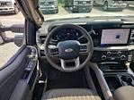 2025 Ford F-350 Crew Cab DRW 4WD Pickup for sale #S2965 - photo 14