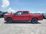 New 2025 Ford F-150 STX SuperCrew Cab 4WD Pickup for sale #SL3113 - photo 3
