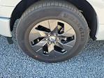 2025 Ford F-150 SuperCrew Cab RWD Pickup for sale #S3590 - photo 6