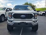 2023 Ford F-150 SuperCrew Cab RWD Pickup for sale #SL2564A - photo 3