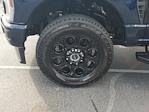 2024 Ford F-250 Crew Cab 4WD Pickup for sale #T0031A - photo 6