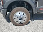 2026 Ford F-450 Crew Cab DRW 4WD Pickup for sale #T0261 - photo 8