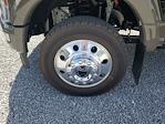 2026 Ford F-450 Crew Cab DRW 4WD Pickup for sale #T0284 - photo 23
