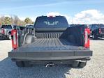2026 Ford F-450 Crew Cab DRW 4WD Pickup for sale #T0876 - photo 11