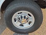 2025 Chevrolet Express 3500 RWD Passenger Van for sale #2565418 - photo 8