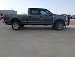 2017 Ford F-250 Crew Cab 4WD Pickup for sale #52045051T - photo 5