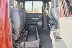 2025 Ford F-150 SuperCrew Cab 4WD Pickup for sale #5250310T - photo 30