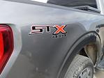 2023 Ford F-150 SuperCrew Cab 4WD Pickup for sale #52557472T - photo 6
