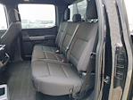 2025 Ford F-150 SuperCrew Cab 4WD Pickup for sale #56545241T - photo 14