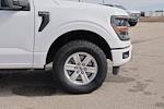 2024 Ford F-150 Regular Cab 4WD Pickup for sale #712501T - photo 14