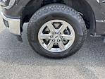 2024 Ford F-150 SuperCrew Cab 4WD Pickup for sale #U02971 - photo 35