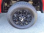 New 2024 Ford F-250 XLT Crew Cab 4WD Pickup for sale #SF34480 - photo 15