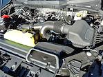 New 2025 Ford F-150 STX SuperCrew Cab 4WD Pickup for sale #SF35384 - photo 19