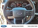 New 2025 Ford F-250 XLT Crew Cab 4WD Pickup for sale #SF35656 - photo 14