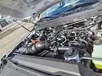 New 2024 Ford F-350 XL Regular Cab 4WD SRW Pickup for sale #SFC33841 - photo 14