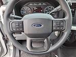 2024 Ford F-250 Regular Cab 4WD Plow Truck for sale #SFC34451 - photo 9