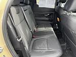 2024 Hyundai Santa Cruz Double Cab AWD Pickup for sale #M194277U - photo 17