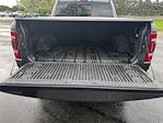 2022 Ram 1500 Crew Cab 4x4 Pickup for sale #M249206N - photo 18