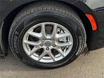 2025 Chrysler Pacifica FWD Minivan for sale #M507413R - photo 9