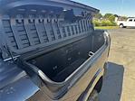 2025 Ram 1500 Crew Cab 4x4 Pickup for sale #M559665M - photo 20