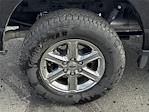 2025 Ford F-150 SuperCrew Cab 4x4 Pickup for sale #MD98275R - photo 12