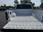 2025 Ram 1500 Crew Cab 4x4 Pickup for sale #SN194211 - photo 14