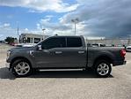 2021 Ford F-150 SuperCrew Cab 4WD Pickup for sale #T753681 - photo 7