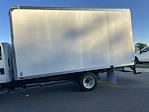 2024 Chevrolet LCF 4500 Crew Cab RWD, American Commercial Body Company, Inc. Aluminum Dry Freight Box Truck for sale #CR24022 - photo 8