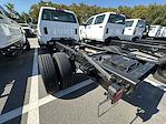 2024 Chevrolet Silverado 5500 Regular Cab DRW RWD Cab Chassis for sale #CR60793 - photo 10