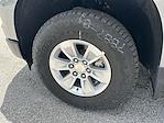 2025 Chevrolet Silverado 1500 Regular Cab RWD Pickup for sale #CS02355 - photo 13