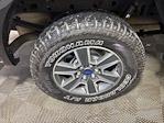 2016 Ford F-150 SuperCrew Cab 4WD Pickup for sale #D9376B - photo 7