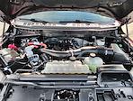 2024 Ford F-150 SuperCrew Cab 4WD Pickup for sale #R10860A - photo 21