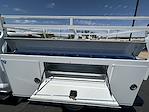 2024 Ford F-350 Regular Cab SRW 4x2 Royal Service Truck for sale #FQ1870 - photo 6