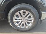 Used 2024 Ford F-150 XLT SuperCrew Cab for sale #FS1777A - photo 9