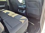 2024 Ford F-150 SuperCrew Cab 4WD Pickup for sale #P58855 - photo 14