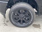 New 2025 Ram 2500 Lone Star Crew Cab 4x4 Pickup for sale #SG558906 - photo 9