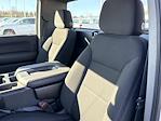 2024 Chevrolet Silverado 1500 Regular Cab RWD Pickup for sale #P3167 - photo 7