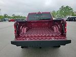 2025 Ram 1500 Crew Cab 4x4 Pickup for sale #D6351 - photo 9