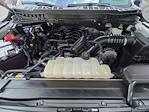 2023 Ford F-150 SuperCrew Cab 4WD Pickup for sale #PFC77003 - photo 7