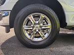 2024 Ford F-150 SuperCrew Cab 4WD Pickup for sale #RKD33979 - photo 14