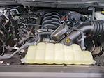 2024 Ford F-150 SuperCrew Cab 4WD Pickup for sale #RKD33979 - photo 15