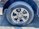 2021 Ford F-150 SuperCrew Cab 4x2 Pickup for sale #46578 - photo 32