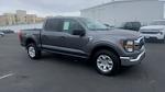 2023 Ford F-150 SuperCrew Cab 4x4 Pickup for sale #46608 - photo 5