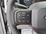 2024 Ford F-250 Regular Cab RWD Sweeper Truck for sale #242026 - photo 10