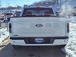 2024 Ford F-150 Regular Cab RWD Pickup for sale #242092 - photo 20