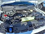 2024 Ford F-150 Regular Cab RWD Pickup for sale #242092 - photo 24